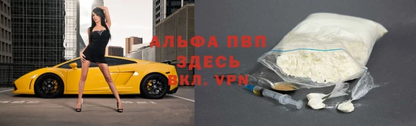 гашик Касимов