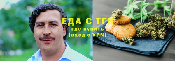 ГАЛЛЮЦИНОГЕННЫЕ ГРИБЫ Козловка