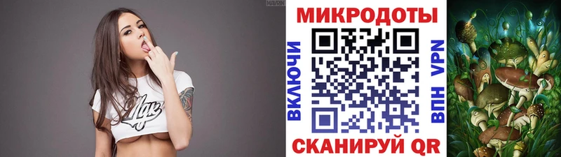 купить закладку  Кувшиново  Псилоцибиновые грибы мицелий 