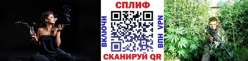 магазин продажи наркотиков  Кувшиново  гидра ссылка  Бошки марихуана марихуана 